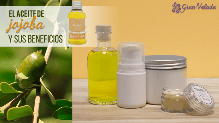 Conoce El Aceite De Jojoba Y Sus Beneficios En La Cosmetica Natural