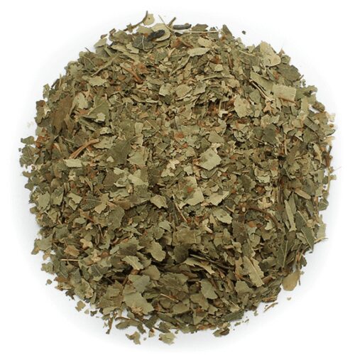 Hojas de abedul secas