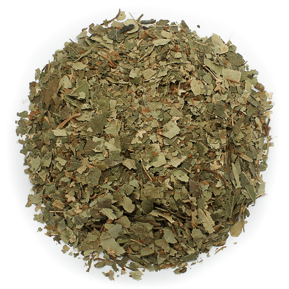 Hojas de abedul secas