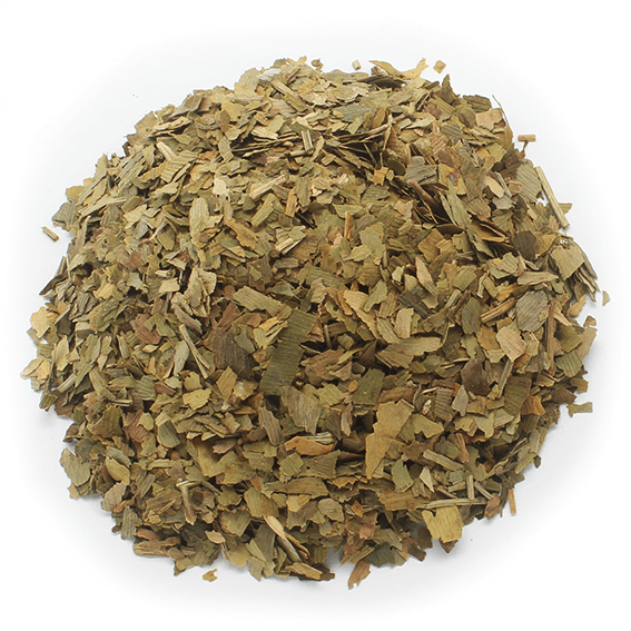 Ginkgo biloba