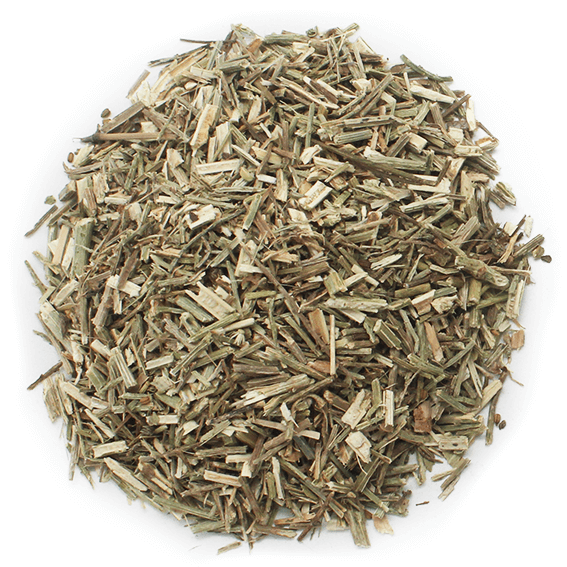 Verbena seca