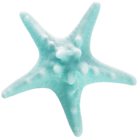 Molde estrella de mar mediana