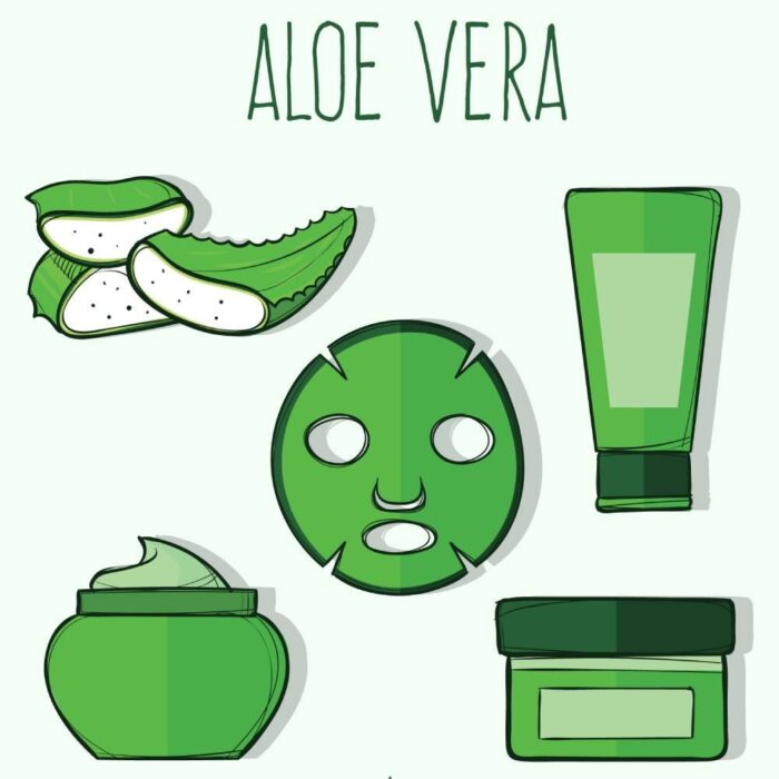 Aloe vera gel concentrado 1-10