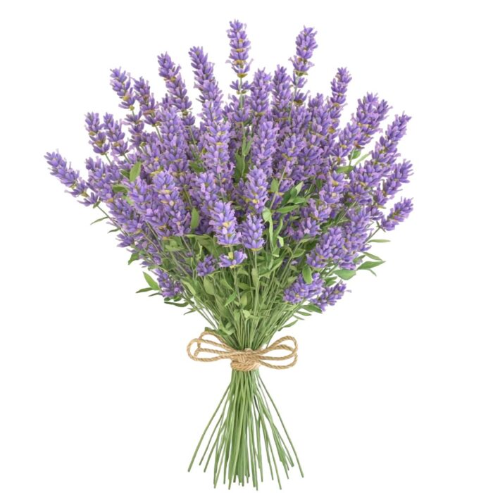 Fragancia de lavanda