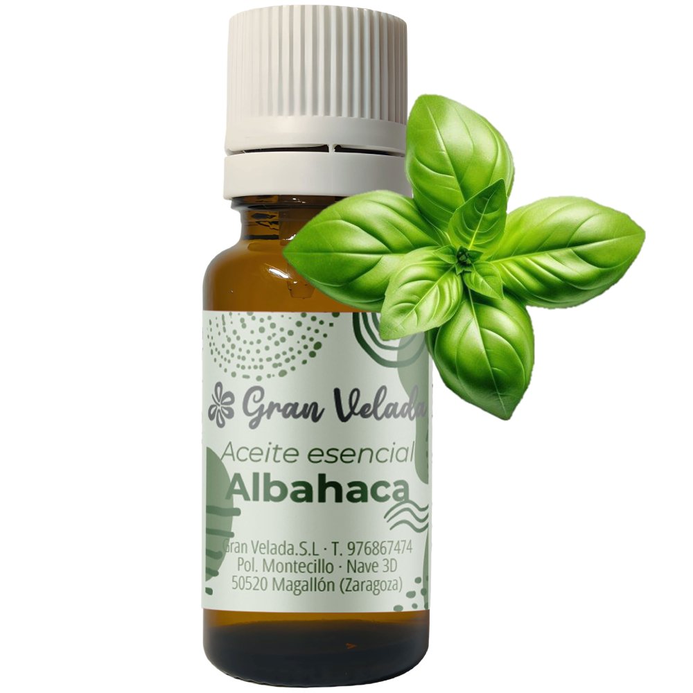 Aceite esencial de albahaca