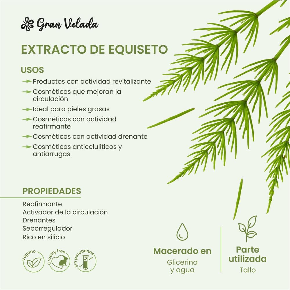 Extracto de equiseto hidrosoluble