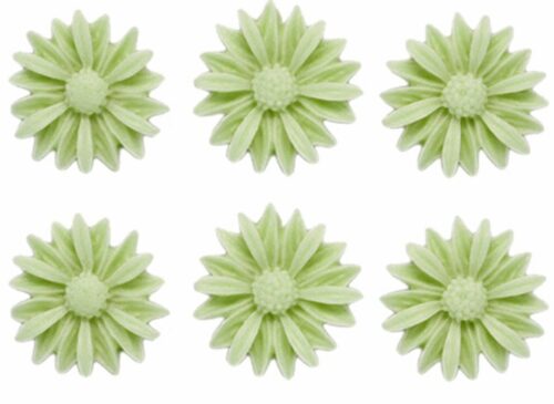 Molde para hacer 6 margaritas deluxe