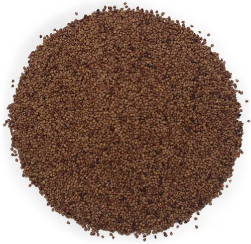 Semillas de fresa exfoliantes 1000 micras