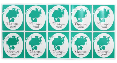 Pegatinas champu organico diy