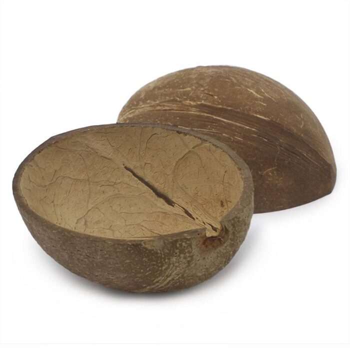 cascara de coco manualidades