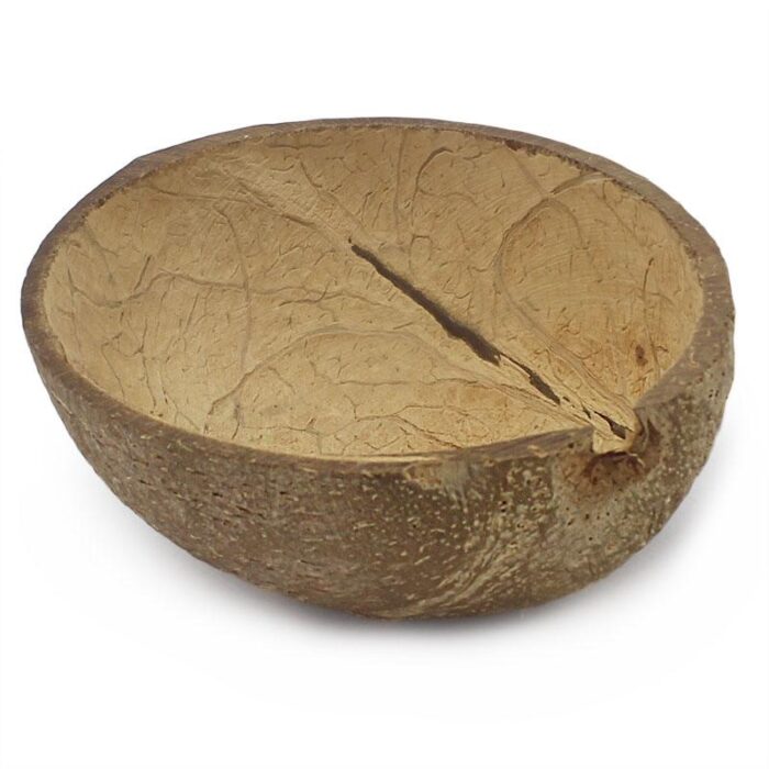 vela cascara coco