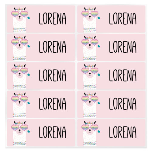 Pegatinas personalizadas llama