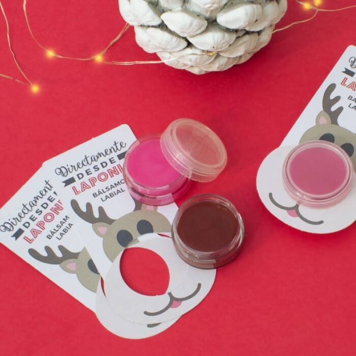 Kit como hacer balsamos labiales de Navidad. Materiales e instrucciones