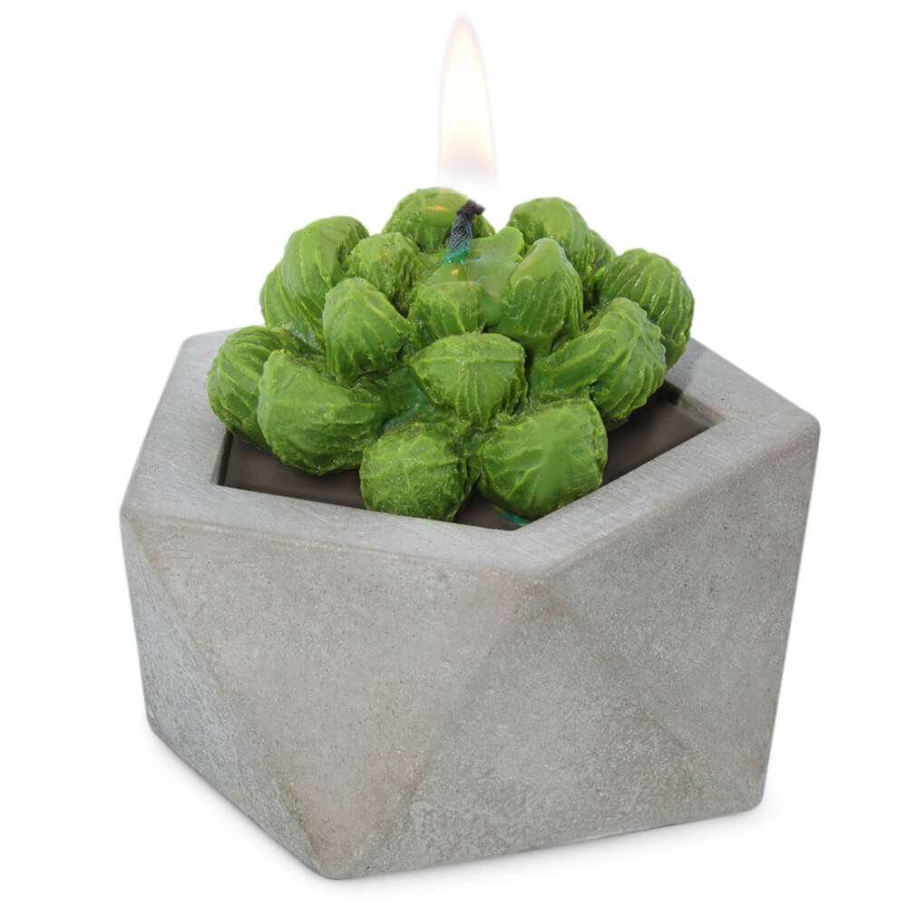 Molde cactus Arizona para velas DIY