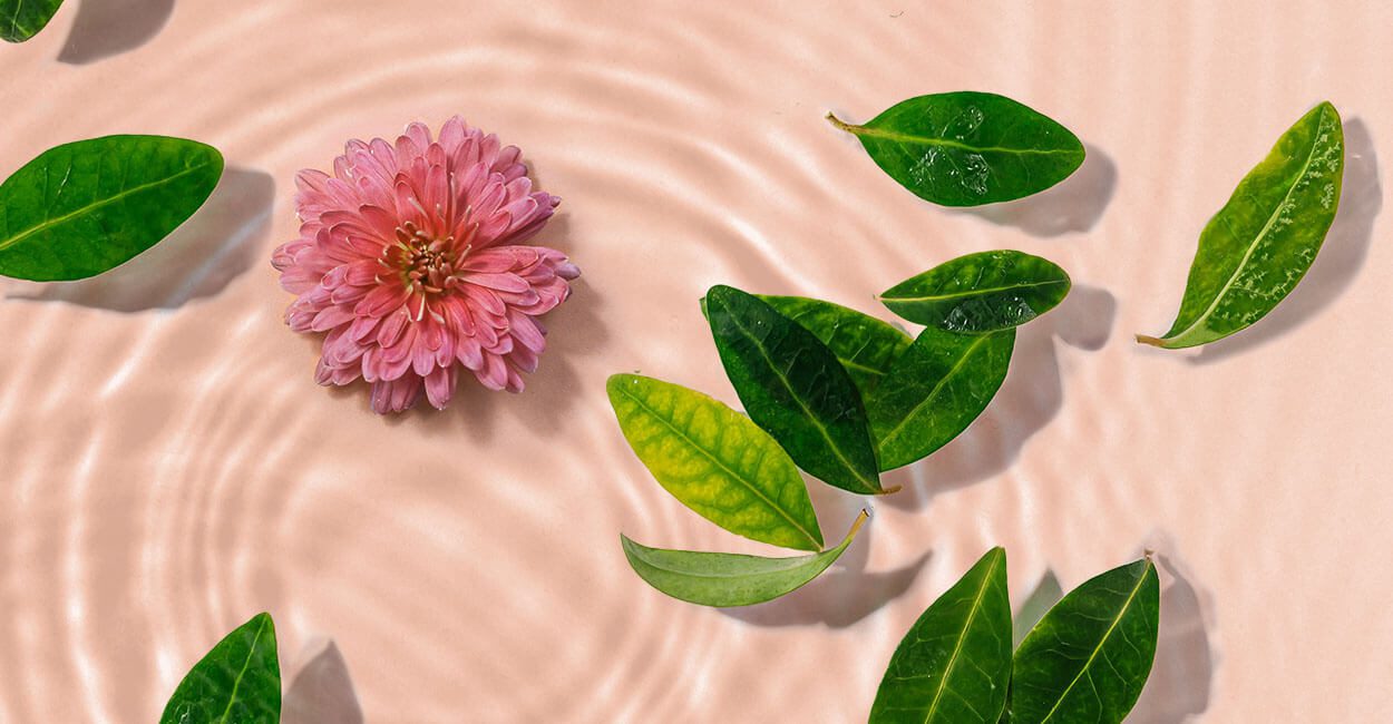 aguas florales