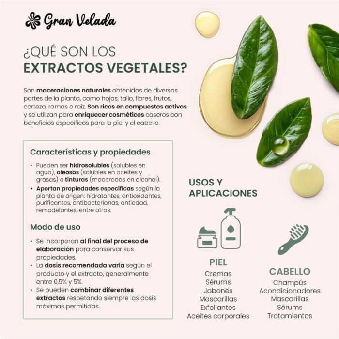 Extracto de menta piperita oleoso