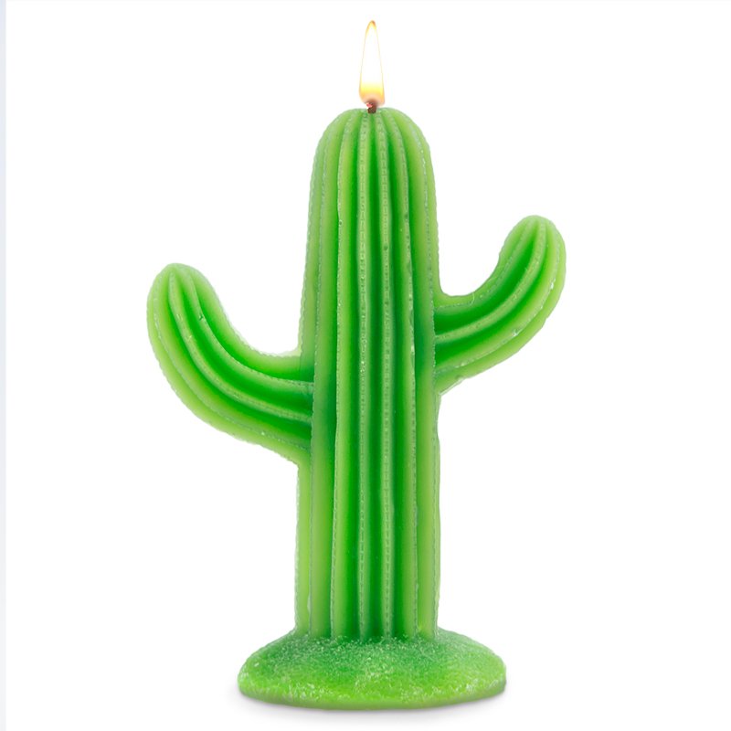 Vela de cactus