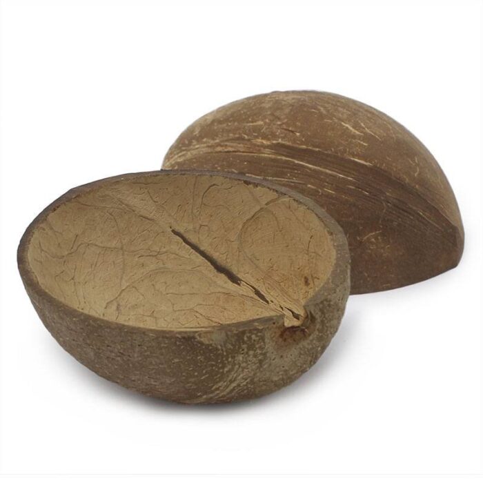 Cascara de coco para velas - Imagen 10