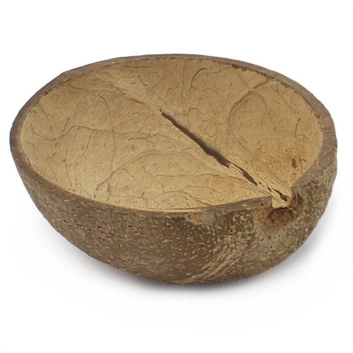 Cascara de coco para velas - Imagen 11